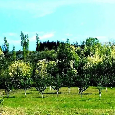 Tenuta Valdorso - Agri Çiftlik konaklama