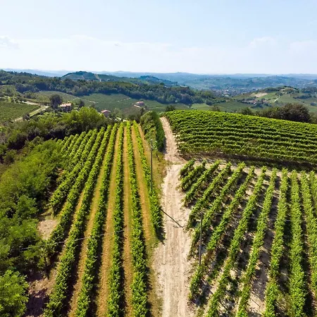 Tenuta Valdorso - Agri Çiftlik konaklama Montechiaro D'acqui