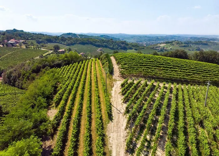 Tenuta Valdorso - Agri Alojamento de Turismo Rural Montechiaro D'acqui